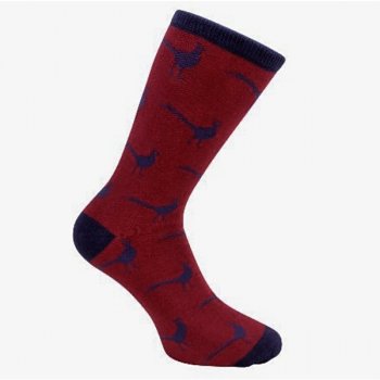 Ponožky David Aster - BAŽANT - Nohy jako v bavlnce.