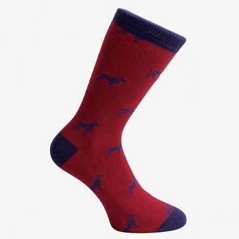 Ponožky David Aster - PES - Nohy jako v bavlnce.